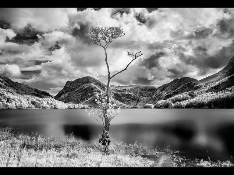 Commended - Infrared Landscapes by Kevin Barnes CPAGB, BPE5