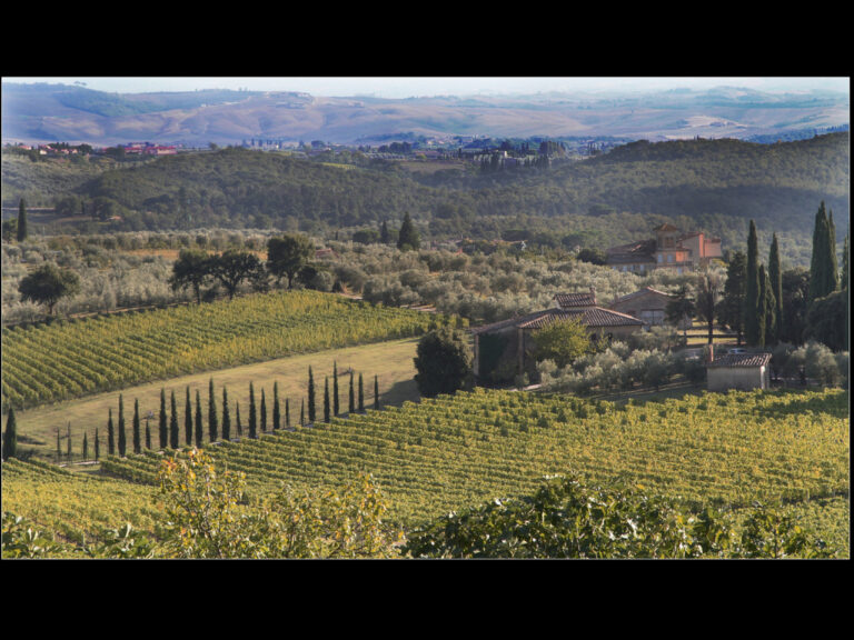 3rd Place - Tuscan Landscape by Jean-Paul Srivalsan