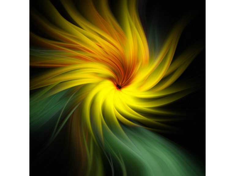 Commended - Sunflower in a Twist by Vivienne Noonan