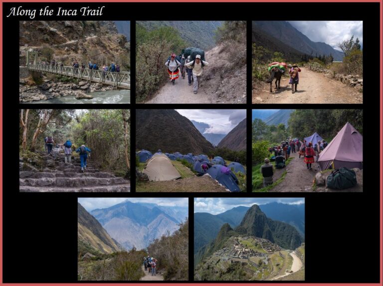 3rd Place - Along the Inca Trail by Vivienne Noonan