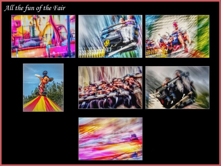 2nd Place - All the Fun of the Fair by Lisa Rendall