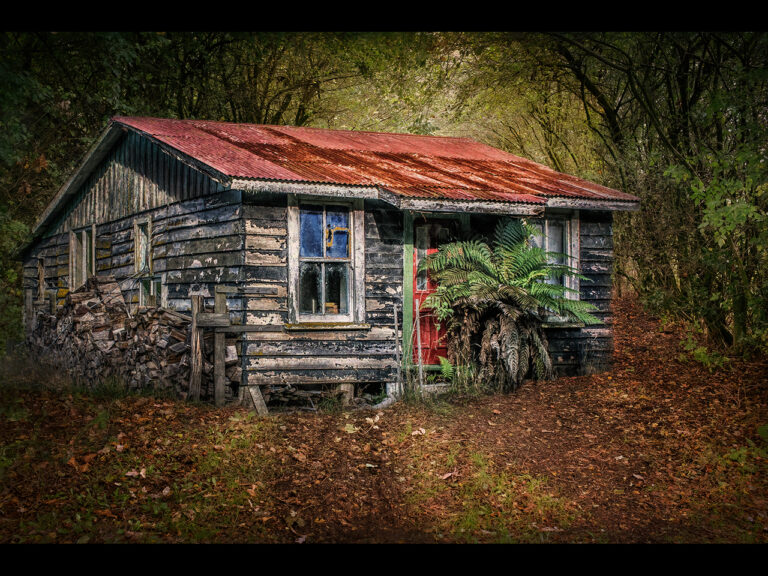 3rd Place - This Ole House by Kevin Barnes