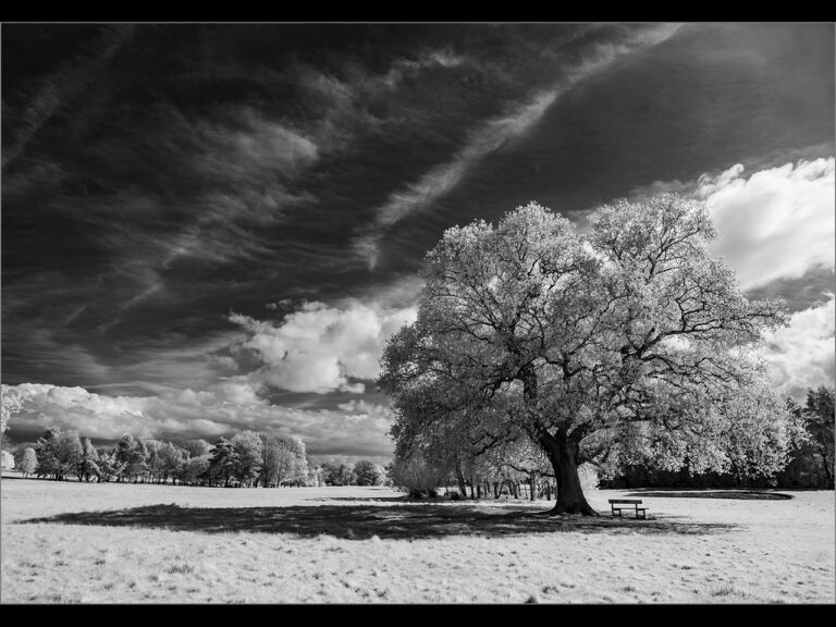Highly Commended - The Seat 'neath the Oak by Paul Wallington