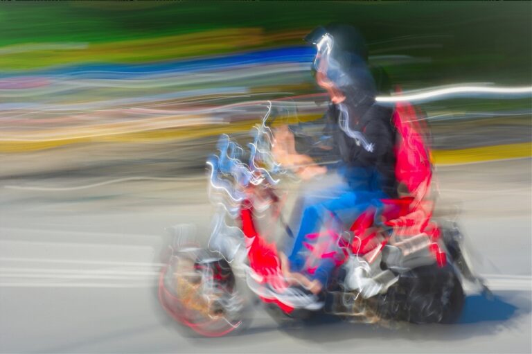 Highly Commended - 1:Go Faster Stripes by Lisa Rendall