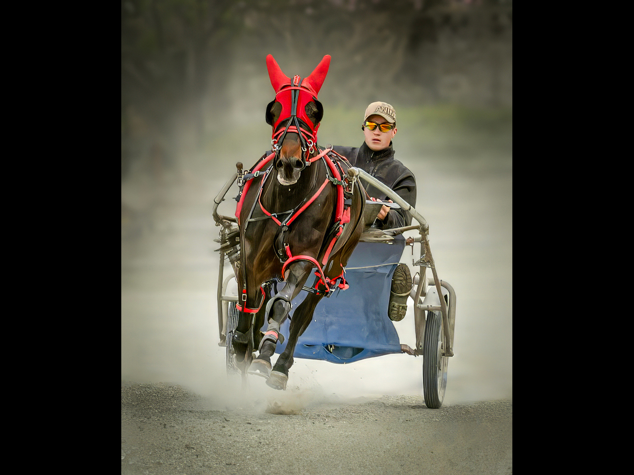 Commended - Full speed by Alun Lambert