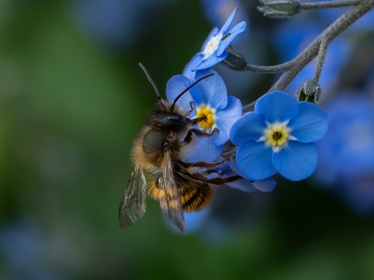 Highly Commended - Bullseye by Richard Bradford