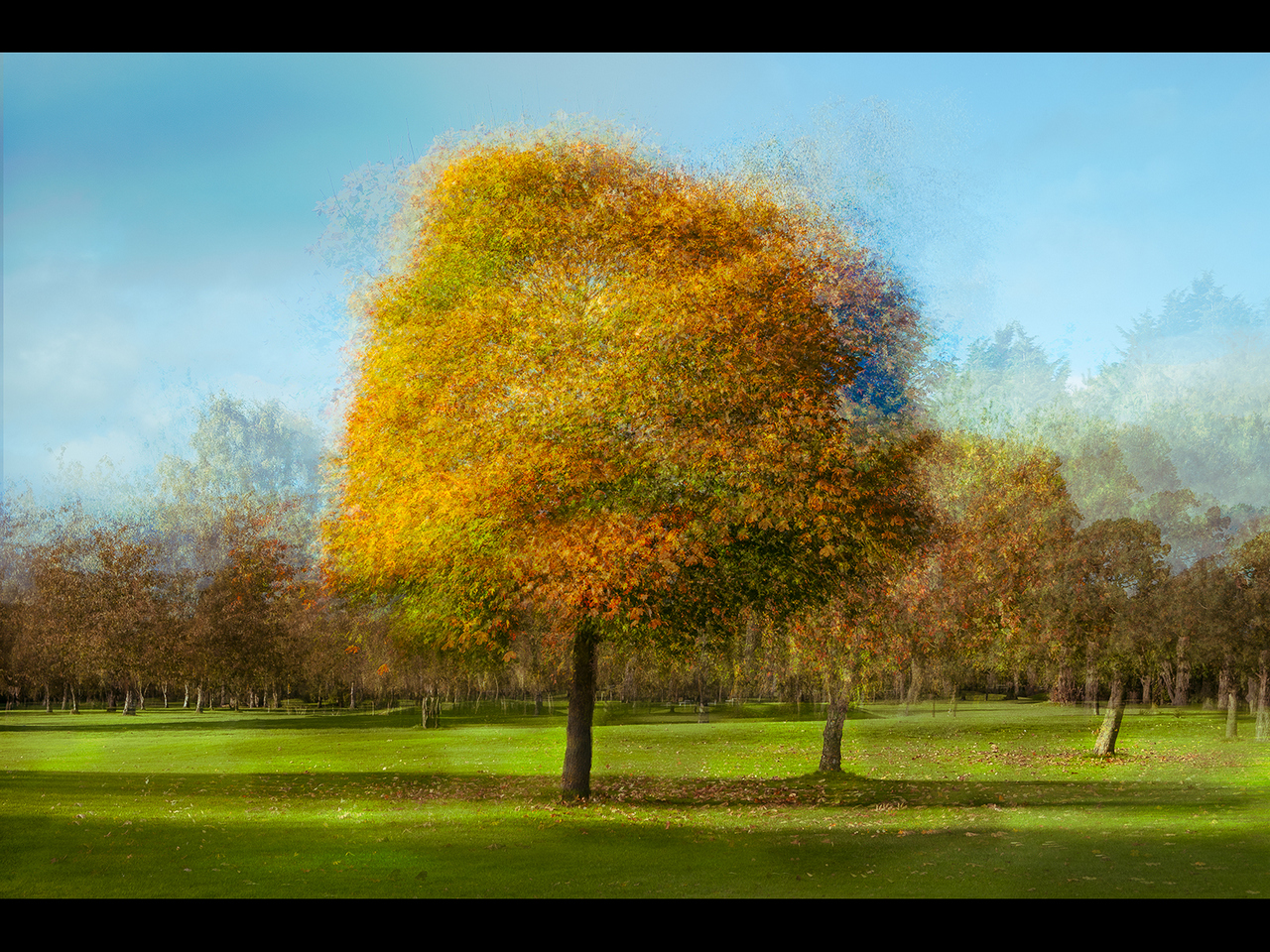 Highly Commended - Autumn Pep Ventosa Style by Vivienne Noonan