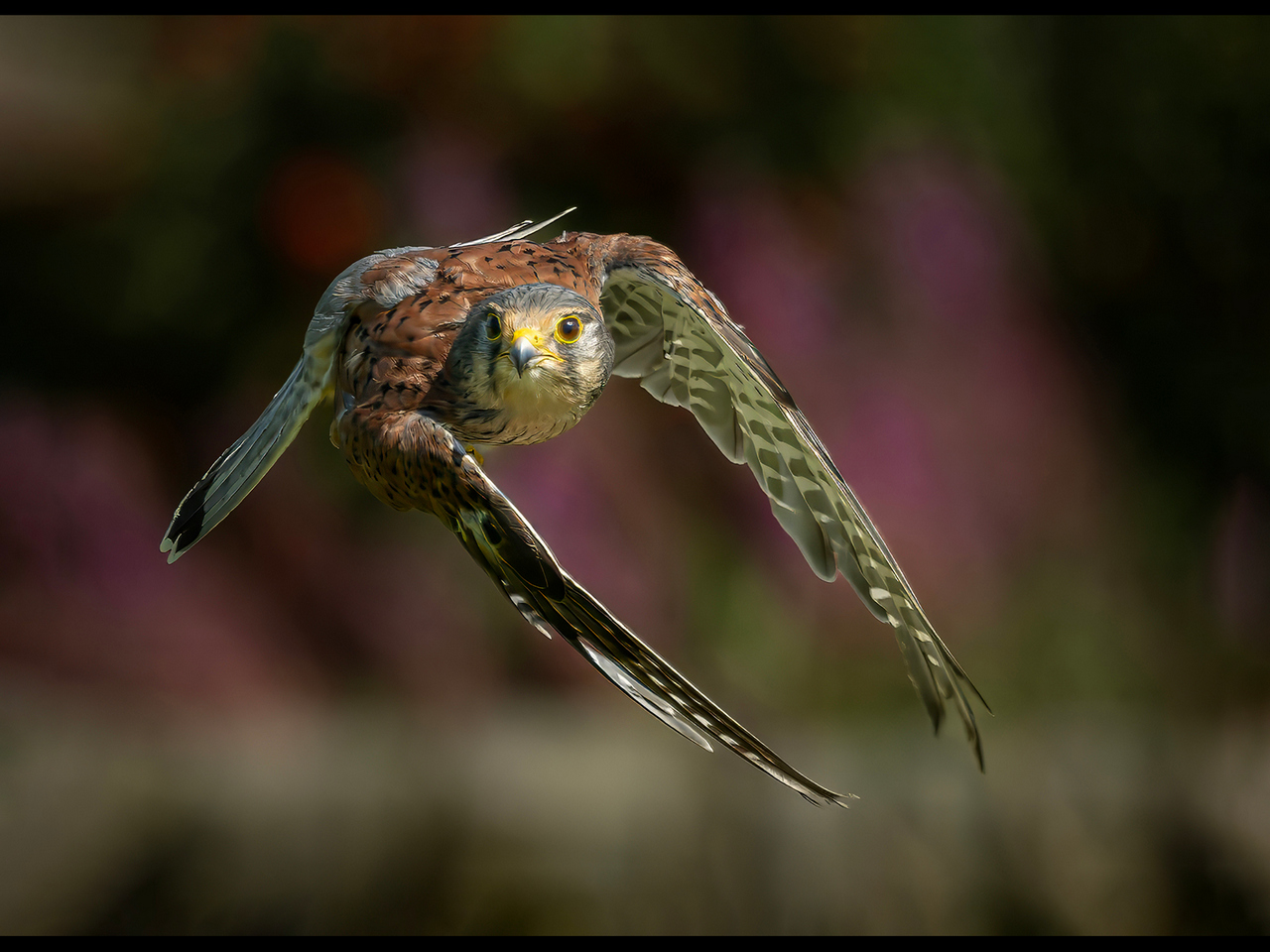 1st Place - The tight turn by Alun Lambert