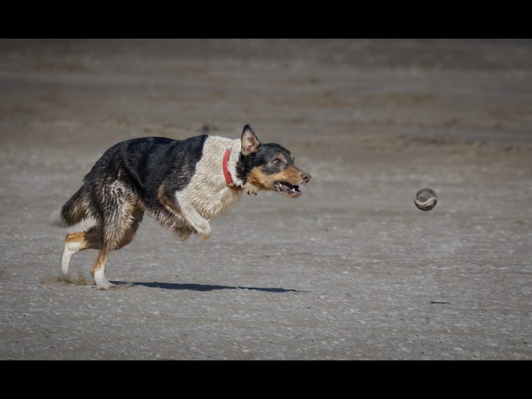 Highly Commended - Gonna get you by Rob Totty BPE3*, CPAGB