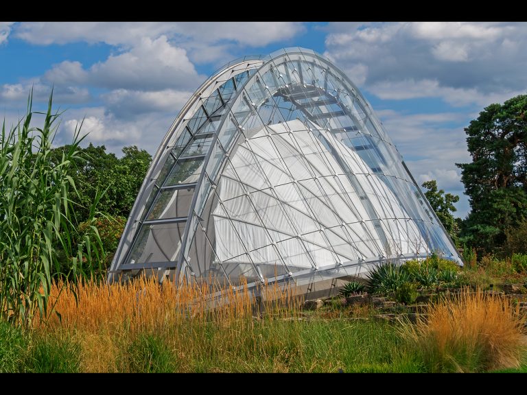 Highly Commended - Davies Alpine House Kew by Cheryl Meir