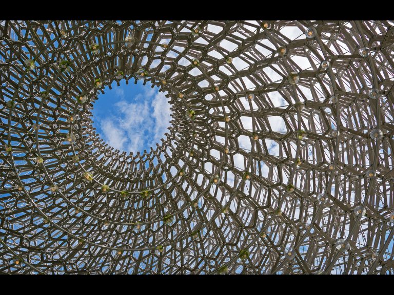 Highly Commended - Eye on the sky by Cheryl Meir