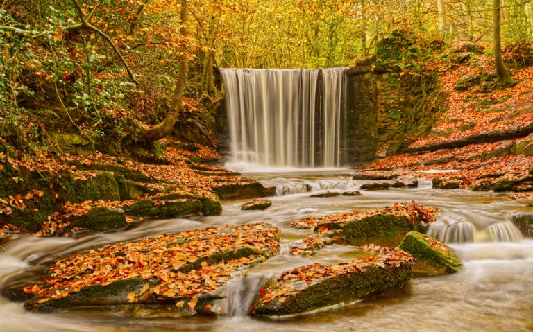 Highly Commended - Poetry in Motion by John Macey