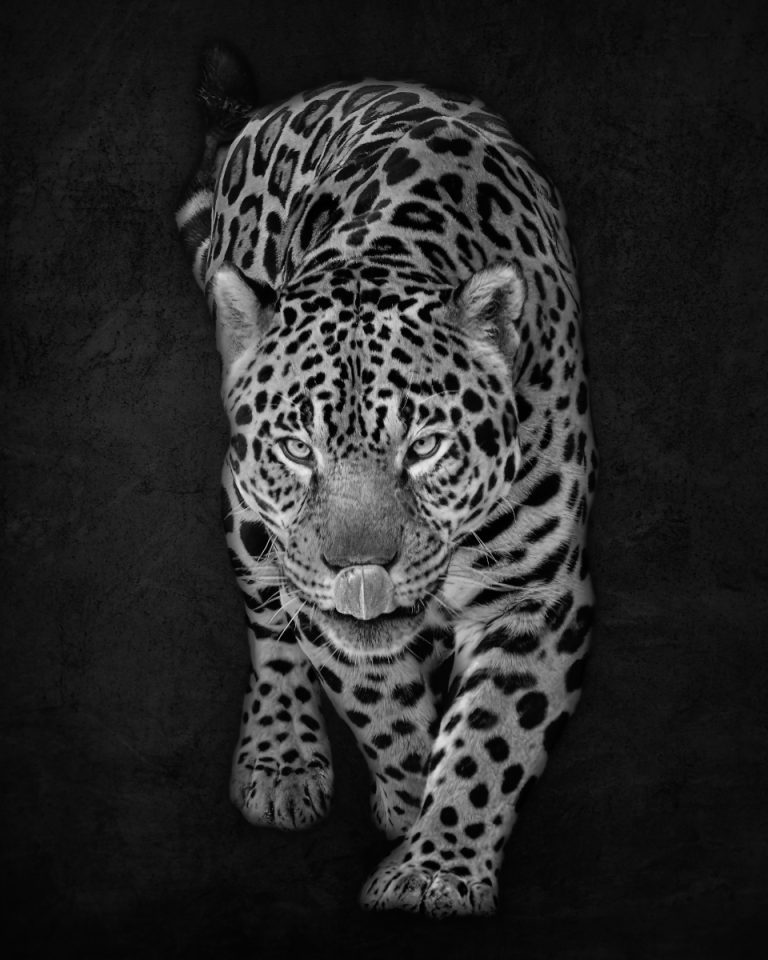 Commended_Out of the darkness_John Macey