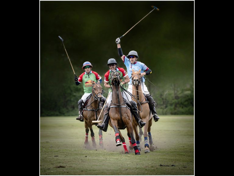 Commended_Tally ho_Karen Lambert