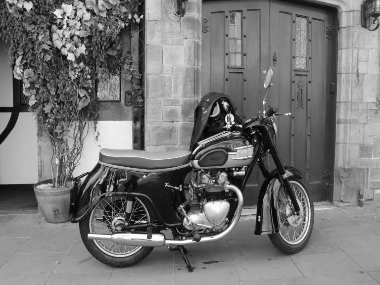 Commended_Triumph_Cynthia Graves
