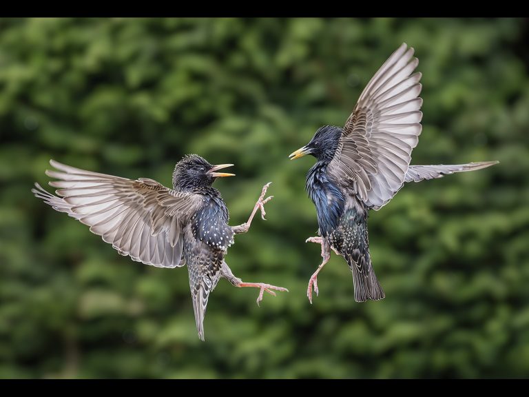 Second_Airborne argument_Alun Lambert BPE4, CPAGB